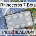 Rhinocéros 7 Bêta 16